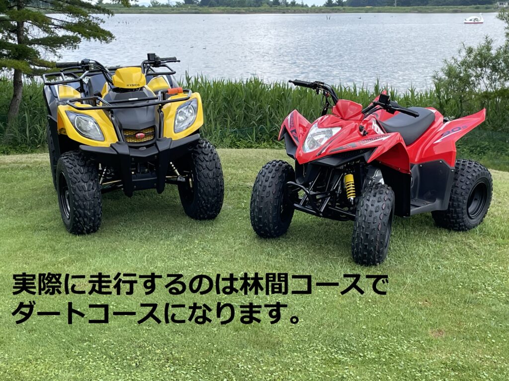 新★ h-373 キャンバス 6点 まとめて F8×2点 M8×1点 M12×2点 M15×1点 画材 絵画 油彩 油絵 総重量2.8kg ムーヴキャンバス ストライプスX 139.9万円 太田14km シトラスイエロー