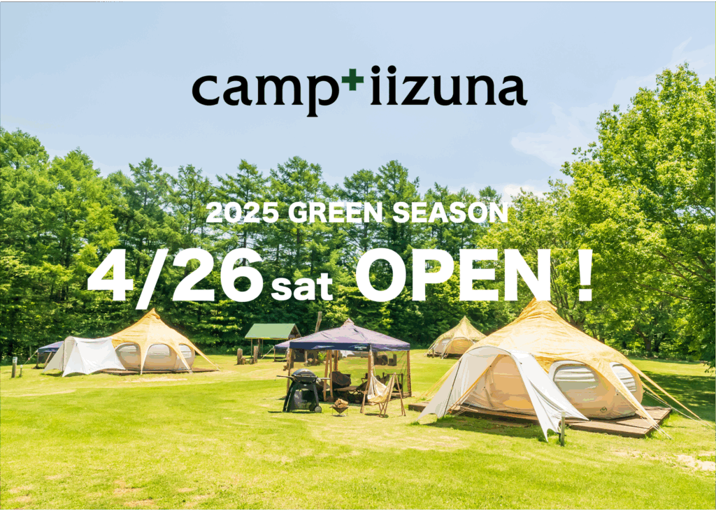 【25年苗】ラズベリー　苗　キャンビー　キャンバイ　Canby 水*菜様 【2024苗】ラズベリー 苗 キャンビー キャンバイ Canby